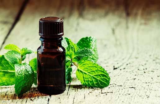 Peppermint Essential Oil=